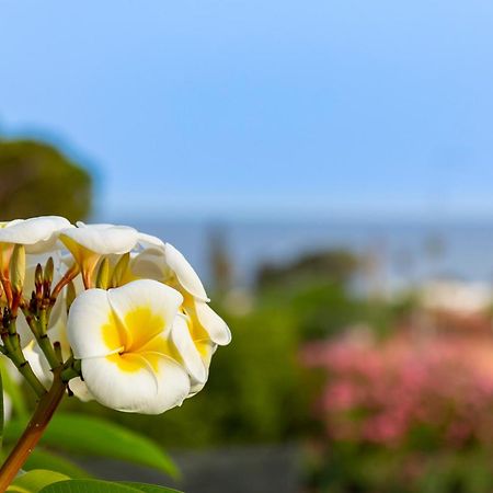 Nice To Stay Фонтане-Бьянке Экстерьер фото